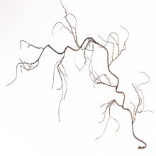 枯藤藤条树藤装饰树叶树枝干室内藤蔓假植物绿植壁挂森系花藤