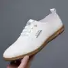 White front hollow model