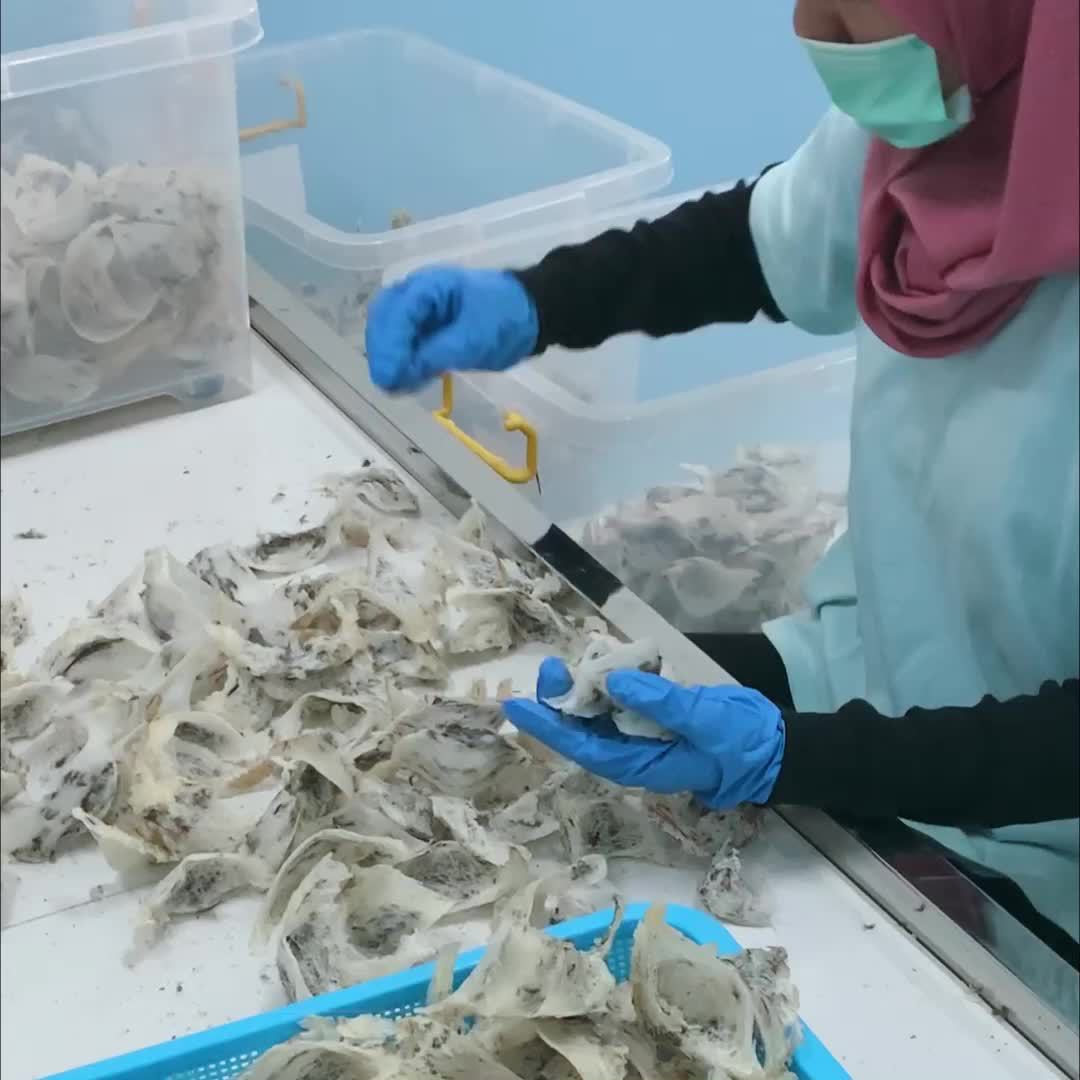 Wholesale Malaysian bird's nest dry dishes and strips, wholesale pregnant health products, large quantity preferred.