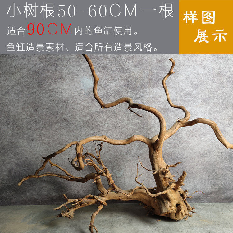 成品杜鹃木枝条鱼缸莫斯树枝一整套寄居蟹攀爬摆件沉木造景木爬宠|undefined
