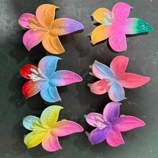 ���Ķ�Ͱ�����ץ�AŮ����߼���2026�¿���X�װ����l�A�Ӱl����