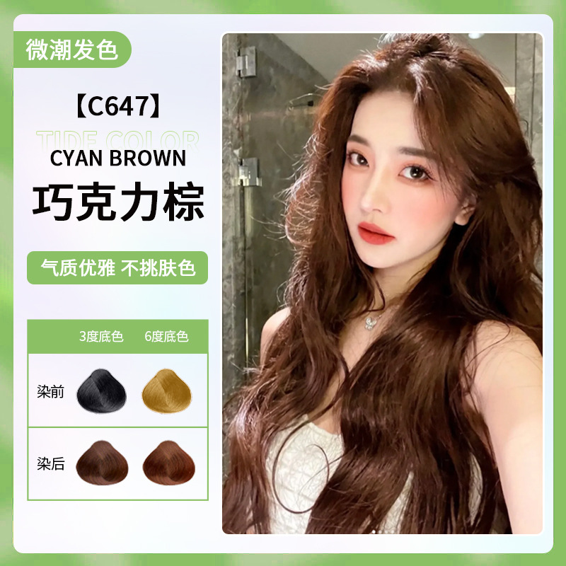 초콜렛 브라운(흰머리 커버)