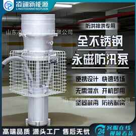 便携式永磁防汛泵大流量高扬程排涝潜水泵防洪抽水轴流泵