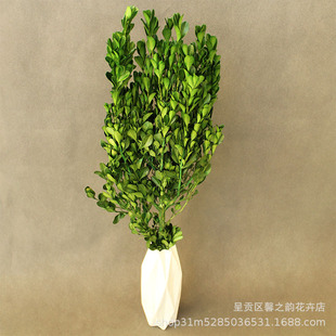 ��������С�~�S���ϏS��ֱ��DIY���� �}�Q���������b����l