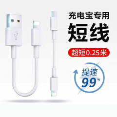 Apple 携帯電話 PD 高速充電データケーブルパワーバンク特別な 12 ワット充電 25 センチメートルポータブルユニバーサルショートケーブルに適しています