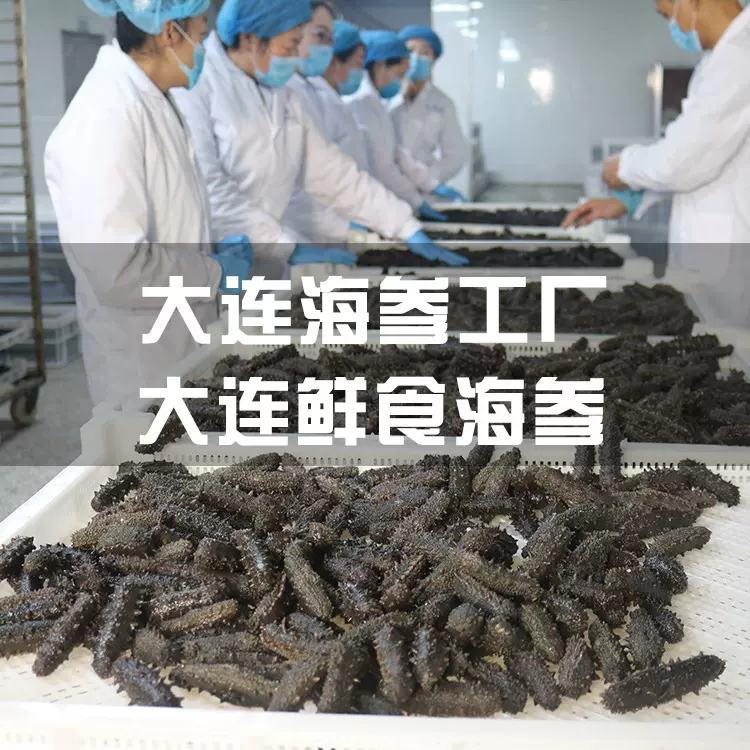 大连海参干货厂家批发支持定制辽参淡干礼盒野生滋补