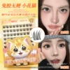 [Large Ten Rows Glue Free] Small Tabby Cat Thick Style Without Stems