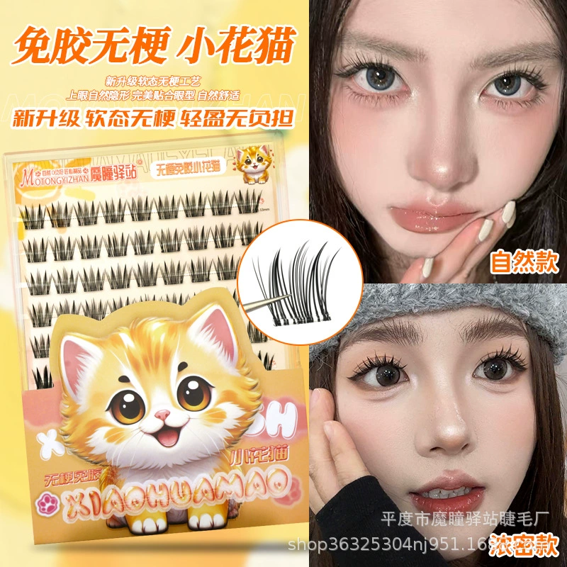 Клей- Free false eyelashes, natural and daily style, sunflower white boiled water, thick and photogenic, rat type dog Su Daji and fox type Pingdu