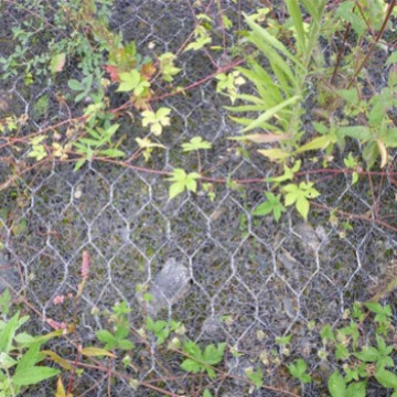 石笼网，生态格网，赛克格宾、石笼网袋 加筋麦克垫