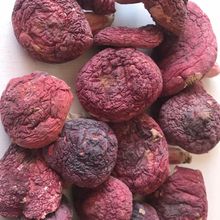 �t��Ұ���tĢ�����ӹ���؛�t����؛��������ɽҰ�����t����Ʒ