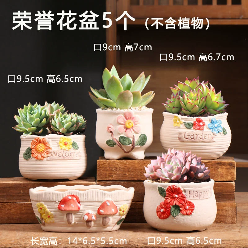 Creative Ceramic Flower Pot, Handmade Factory Direct, Assorted Decorative Designs, Small 7–10 cm