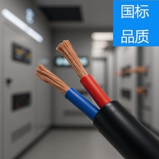 2оRVV늾�ܛ��|1.0 1.5 2.5 4 ƽ����늾��Դ���˾����L����