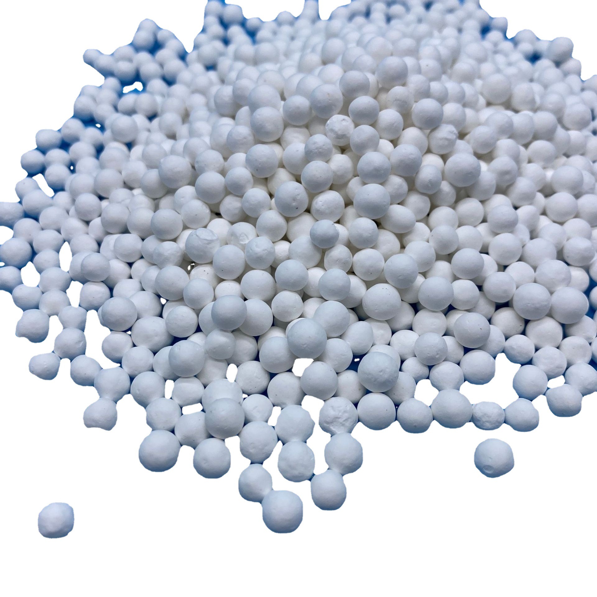 ��������������������� ������������������� ���ʳ�����������