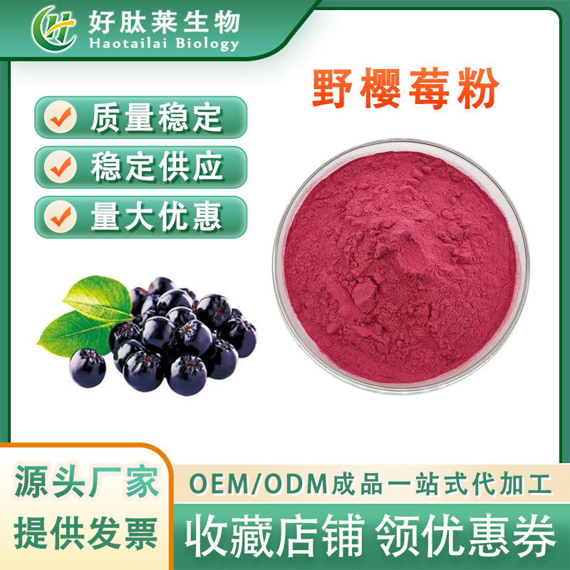 野樱莓果粉 食品级 水溶性野樱莓粉 黑果腺肋花楸果粉 量大从优