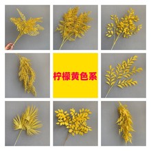 �������ϼٻ������S���Ļ�Y������^�b��OӋ�廨��픴�ិ��滨