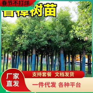 һ�����l������������ľͥԺ�G���ļ������ϱ����NֲС�~���X��