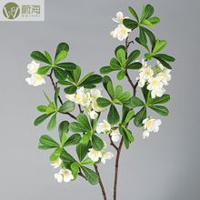 �ٻ���֦ƽ�溣ͩ��Ҷ��԰ӣ���һ����ϲ廨װ����Ӱ���ߺ��Ļ�