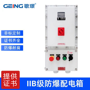 Explosion-Proof Distribution Box Explosion-Proof Control Button Box Explosion-Proof Control Box Instrument Box Explosion-Proof Maintenance Power Box