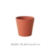 New model 12 cm 2