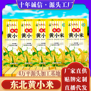 �|�������ЙC�SС��500��1���������s�Z�ּZ����С�����S�����l