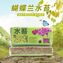 ˮ̦��̦�\�����m�����|ˮ�����m����