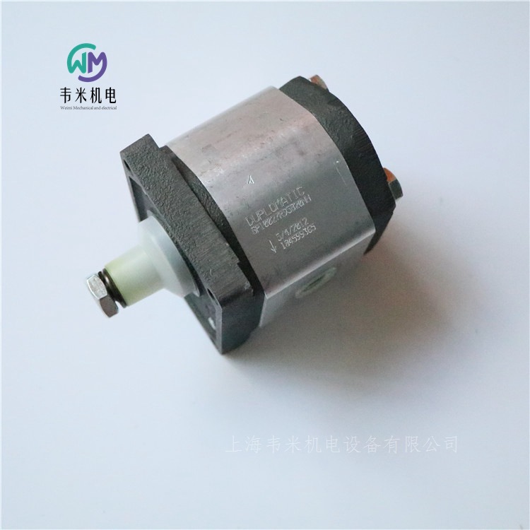 GP10027R95B20NH 迪普馬油泵