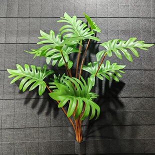 ����Gɫֲ��  �҃�ܛ�b�b��� ϲ�����~ �����~ ���������~