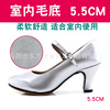 Women's Latin Dance Shoes Plaza Dance Shoes wholesale manufacturer Direct selling soft -bottomed dance shoes Dance dance shoes Modern dance shoes