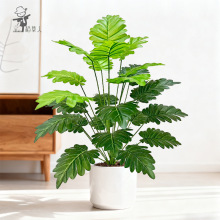 ���W�L�羳�Gֲ����٘�͏d�Ҿә����̈��@���쾰�����~�����b�