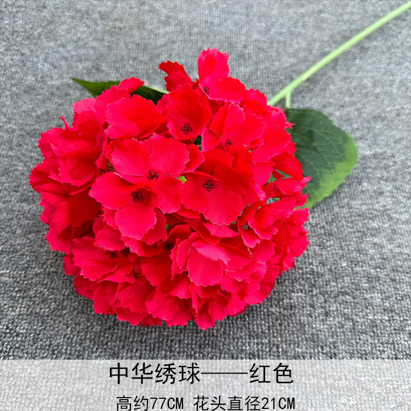 Hortensia China Roja