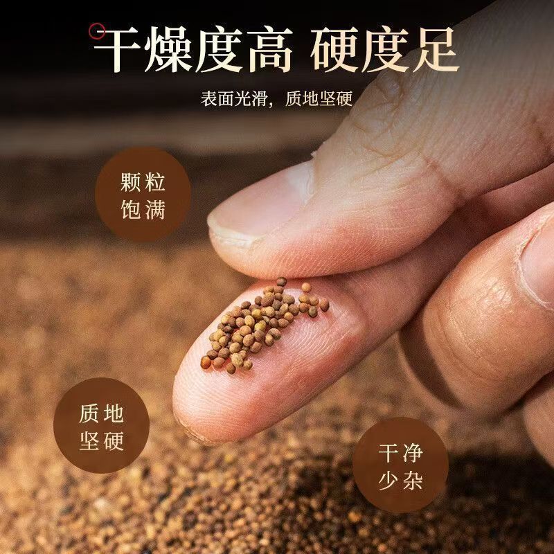 Dried Cuscuta Seed Tu Si Zi 500g Whole Chinese Dodder Seed for Decoction and Culinary Use in use