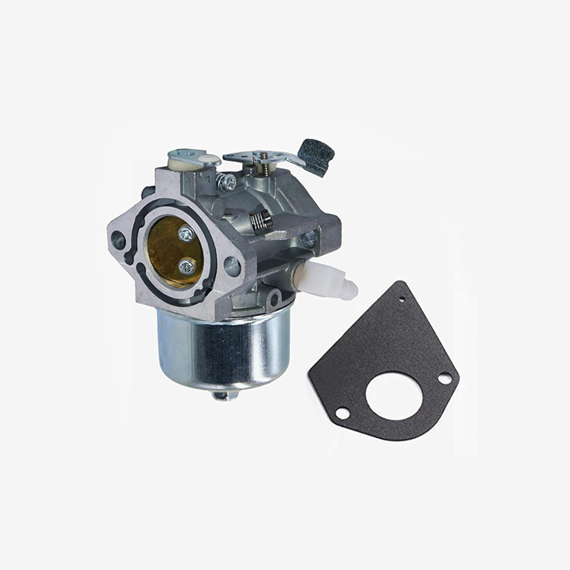 698171 692684 carburador para Briggs & Stratton495778 494883