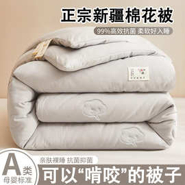 新疆被子春秋纯棉全棉加厚保暖冬被棉被芯学生宿舍单人夏凉空调被