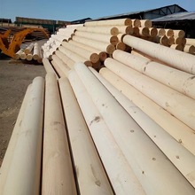 �Aľ������ľ�A����������������ľ��ľ�^ԭľľ��ɼľľ����