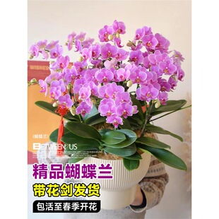 �����m���Ԏ������ﶬ�ͺ��r���ܾGֲ���҃��m������׻�