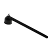 Black trumpet