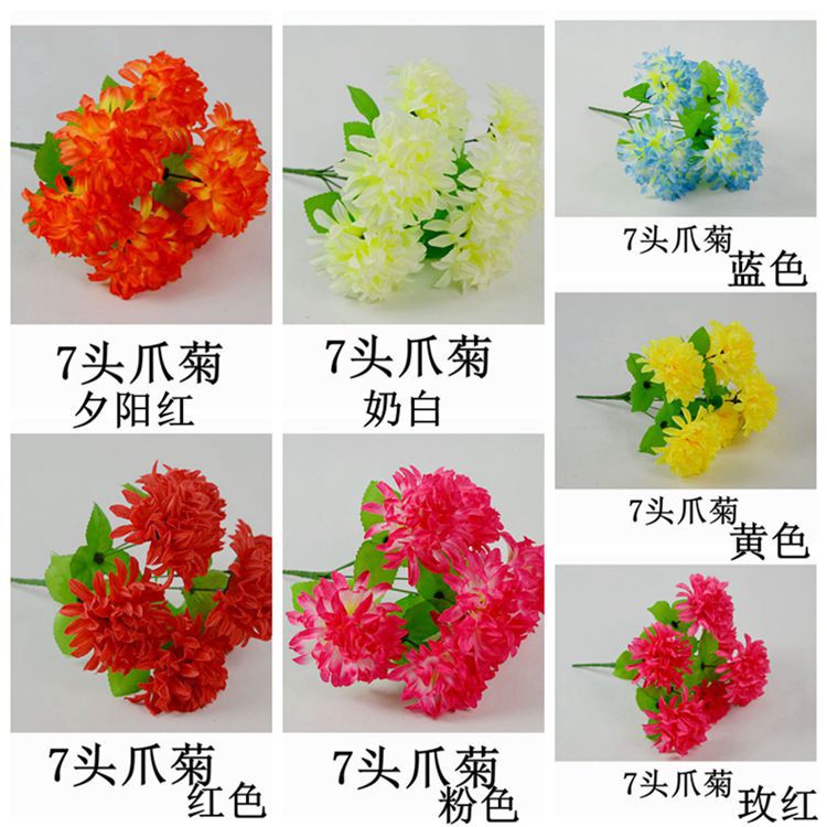 7头爪菊色卡.jpg