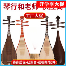 专业琵琶鸡翅木花梨木琵琶乐器初学入门教学成人琵笆乐器