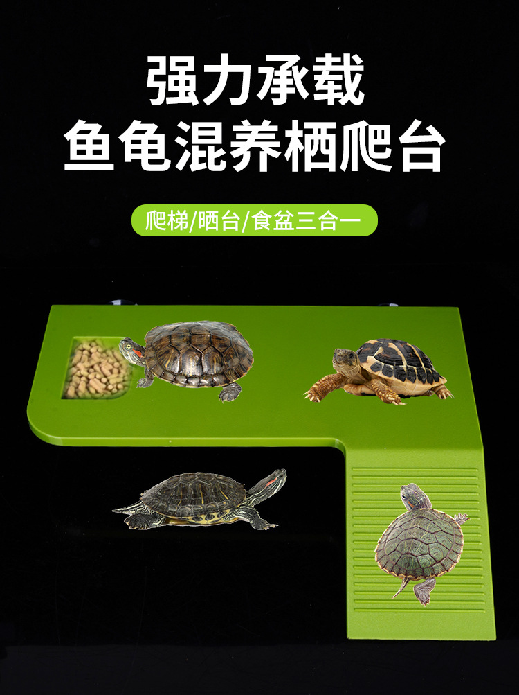 详情_01