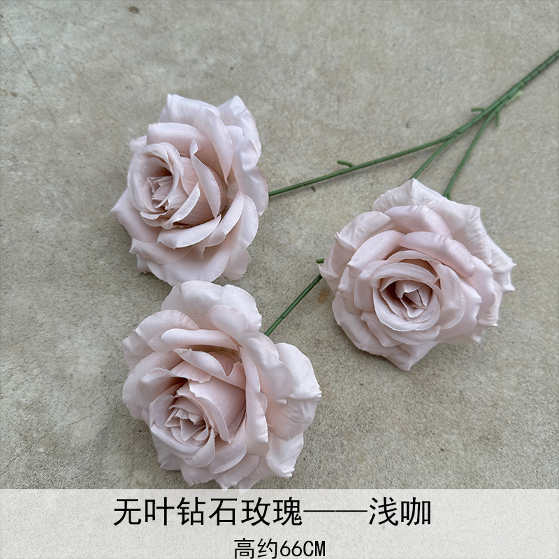 Rosa de diamante sin hoja-5