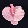 Fuchsia, big, 11.5cm