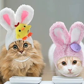 宠物帽子;挂饰挂件;宠物围巾