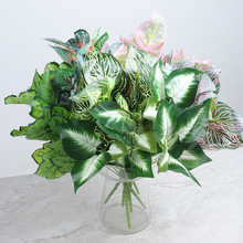 ��� ����ֲ���� 5�^���~�ӾG�} �ٻ����Ԕ[�� �\���~ˮ���~