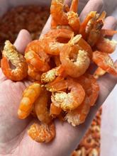 �r�� ���� �r�ʸ� ��ζˮ�a��؛ 40��