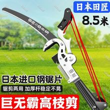 ��֦���߿ռ���֦���s�߿���֦����֦���^��@����֦�һ�����]