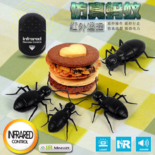���愓�����t�⾀�b��Λρ��� ����ģ���b�؄�������к��Y��