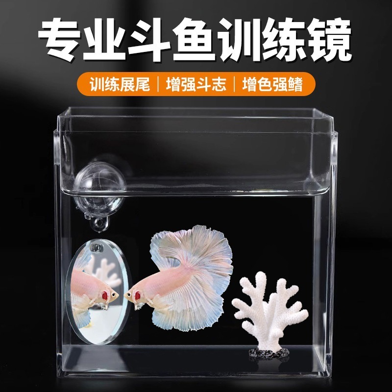 Escenografía Tailandia Betta pez ventosa espejo espejo suspensión interna y externa pequeña pecera entrenamiento espejo interactivo espectáculo espejo de ejercicio de cola