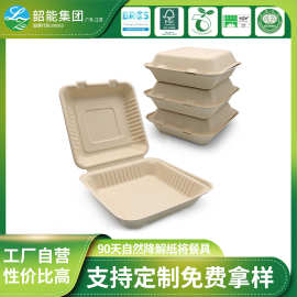 一次性甘蔗浆可降解外卖打包盒翻盖锁盒二格三格连体带盖打包盒