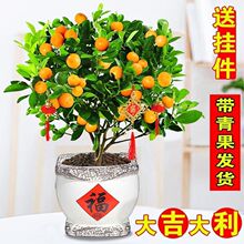�ļ��������ͥԺ���B���Ә��^�p�辰�̨�����l؛ϲ�c���Ә���]