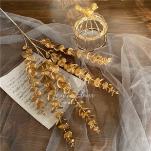 ����5���ȼ��� ���Ͻ��X�~��c��Y�ò廨�b���Ͱ��Ͱ�y�����~